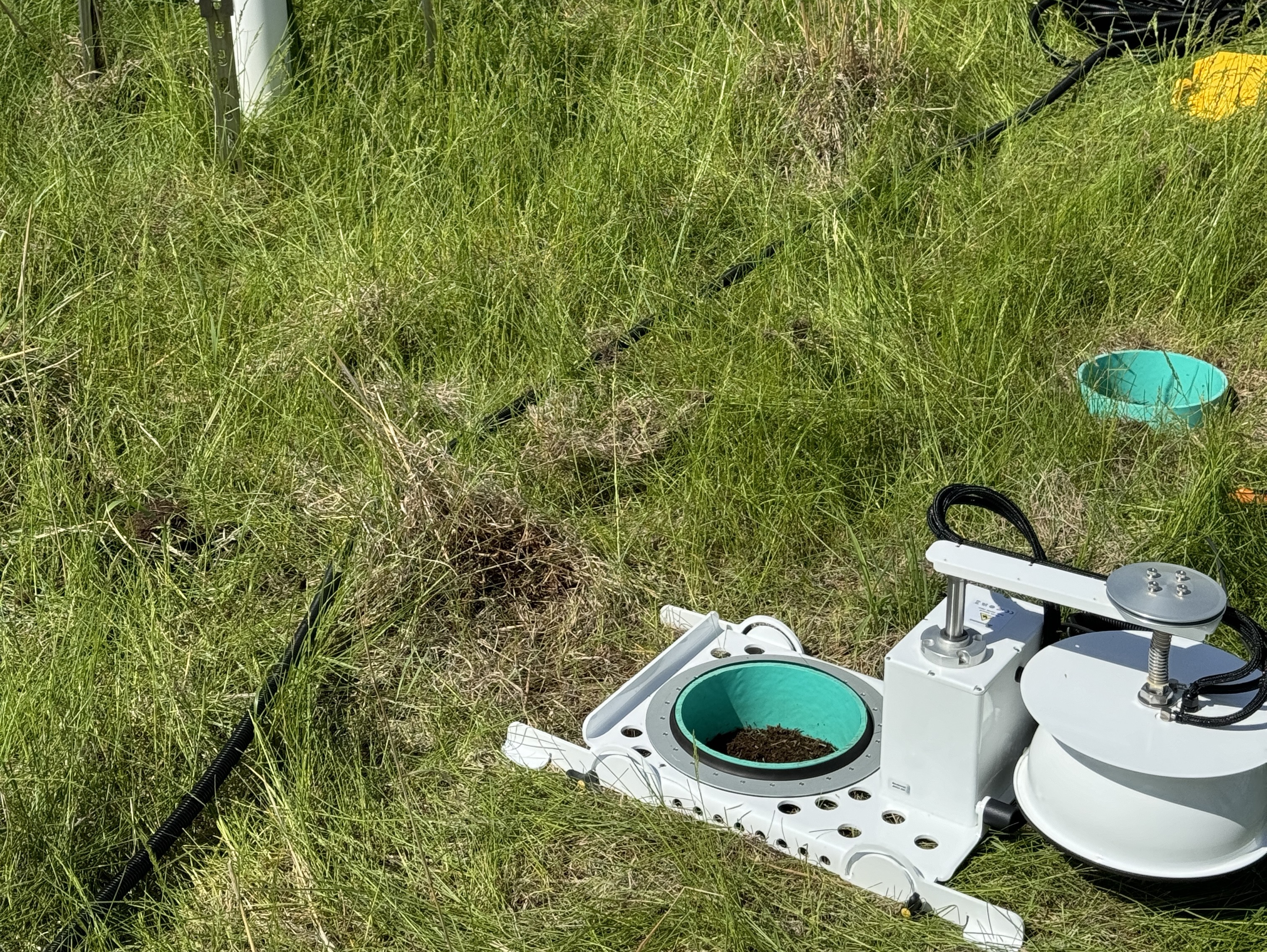 Field site view for research